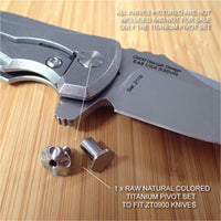 Zero Tolerance ZT0900 ZT 900 0900 Knife RAW Custom Titanium Pivot Torx Screw Set
