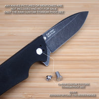 Kershaw Skyline 1760 1760BW 1760DAM Custom RAW Titanium Pivot Set - NO KNIFE