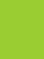 COLOR OPTION - YELLOW-GREEN
